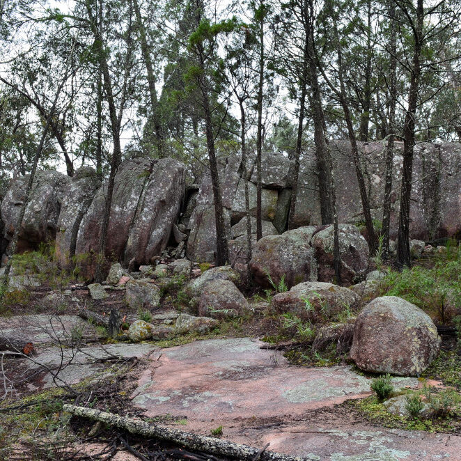 Bald Rock National Park